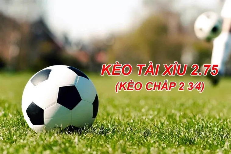Hướng Dẫn Chi Tiết Cách Đặt Cược Kèo Chấp 2 3/4 Giành Chiến Thắng Vang Dội