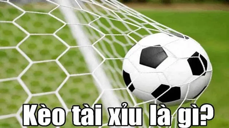Kèo Tài Xỉu Bóng Đá Chiến Thuật Đầu Tư Thông Minh Chinh Phục Mọi Nhà Cái